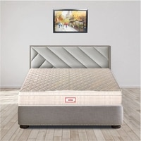 Spine FineOrthopedic Euro Top With Rebotech Technology 5 Inch King Size Bonded Foam Mattress (84X70 Inches) Premium Knitted Fabric, SoftRelax
