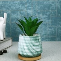 White 1 Pieces Succulent Artificial Plant With Pot