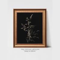 Artistry Black Simple Moody Background Illustration Canvas Wall Prints Set of 1 Multicolor Matte