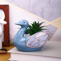 Aloe Vera Plant Inside An Artistic Blue Swan Ceramic Pot