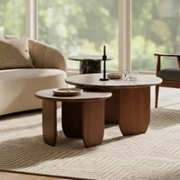 Circa Solid Wood Coffee Table Set of Two in Brown Colour