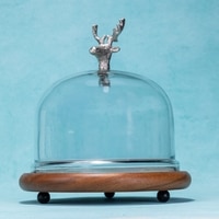 Ireka Homes Wildwood Acacia Wood Cake Stand with Glass Dome