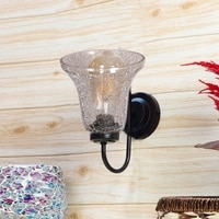 Devansh Metal Electric Wall Light in black Colour with Transparent Shade Count of 1 Light
