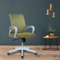 Mmarveal Mid Back Ergonomic Chair in Pearl Green Colour