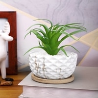 Artificial Fern Plant In A Patterned Ceramic Pot With A Wooden Plate