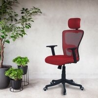 Dreaceo High Back Ergonomic Chair in Red Colour