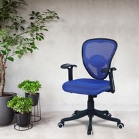 Aaeroa Low Back Ergonomic Chair in Black Colour