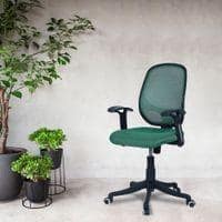 Goolda Low Back Ergonomic Chair in Dark Green Colour