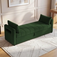 Jedlo Velvet 2 Seater Ottoman Bench  with Storage  in Green Color