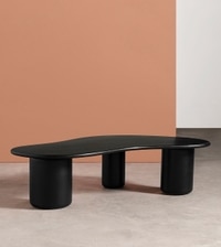 Hima Solid Wood Coffee Table In Black Finish