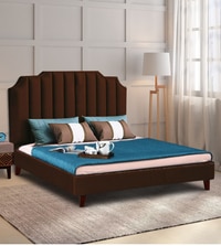 Eliana Engineered Wood Queen Size Non Storage Bed In Honey Oak Finish