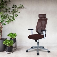 Wiweangs High Back Ergonomic Chair in Brown Colour