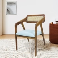 Aceso Solid Wood Lounge Chair In Blue Colour