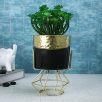Artificial Succulent In Black & Gold Pot