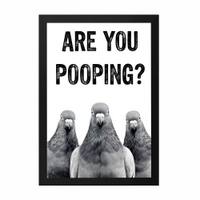 The Castle Decor Funny Are You Pooping Pigeons Wall Art 8x12 Inch