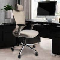 Nexa Study Chair
