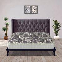 Health Plus Plus Active Orthopaedic Coir Mattress (78 x 30 in, 6 Inches)