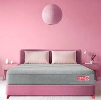Aero Ortho Memory Spine Alignment Queen Size Mattress (Mattress Thickness: 8 Inches, Mattress Dimensions: 72 x 66 in)