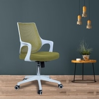 Xeanea Mid Back Ergonomic Chair in Pearl Green Colour