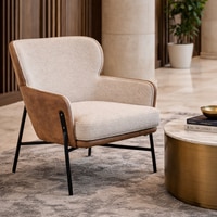 Noir Engineered Wood Lounge Chair in Multicolor Colour