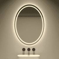 Oval Shape Lighted LED Mirror Modern  Vanity Mirror