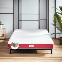 Bone Zone with Rebotech Tech  Mattress (75 x 66 in, 8 Inches)