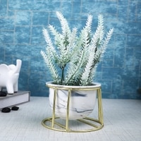 White Frosted Fern Planter