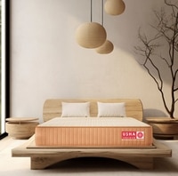 Usha Shriram 7-Zone AeroTalalay Latex Pocket Hybrid King Mattress (Mattress Thickness: 6 Inches, Mattress Dimensions: 78 x 72 in)