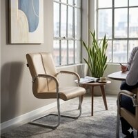 Elegant Cantilever Chair In Cream Colour