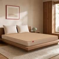 Kurlon Orthopedic Mattress Medium Firm Proper Spine Support Single 84x36x8 Inch