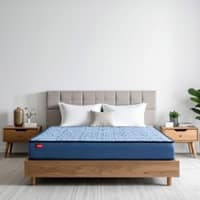Kurlon DuoRest Essential 6 inch Single Bonded Foam Mattress (L x W: 78 inch x 35 inch)