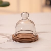 Ireka Homes Nibble Nest Acacia Wood Cake Stand with Glass Dome