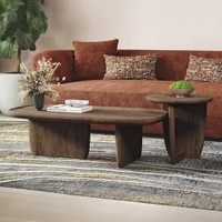 Kaya Solid Wood Coffee Table In Danish Walnut Finish