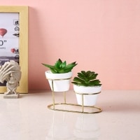 Minimalist Dual Pot Stand With Artificial Plants