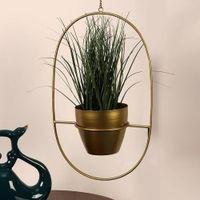 Darryl Planter