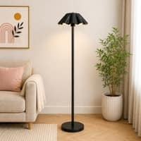 Dome Floor Lamp in Black Colour