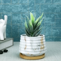 White 1 Pieces Succulent Artificial Plant With Pot