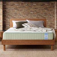 Dreamer Natural Latex Foam Mattresss (75 x 48 in, 6 Inches)