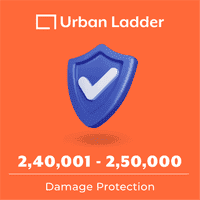 Value Added Services - 1 Year Damage Protection (240001 to 250000)