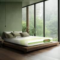 Prana - Organic Cotton Fabric Spring Mattress (75 x 30 in, 8 Inches)