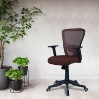 Peacifice Mid Back Ergonomic Chair in Brown Colour