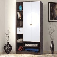 Allie Engineered Wood 2 door Wardrobe in Matte Finish