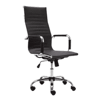 Asha Ergonomic chair