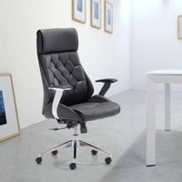 Sheena Ergonomic chair