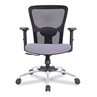 Jamie Net Swivel Study Chair in Black Colour