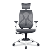 Raice Net Swivel Study Chair in Grey Colour