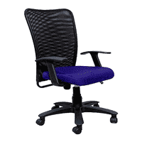 Thane Ergonomic chair