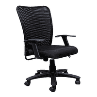Odelia Ergonomic chair