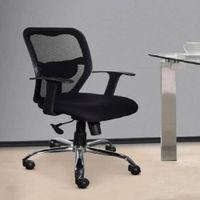 Melisenda Ergonomic chair
