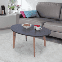 Kelly Oval Engineered Wood Coffee Table In Matte Finish